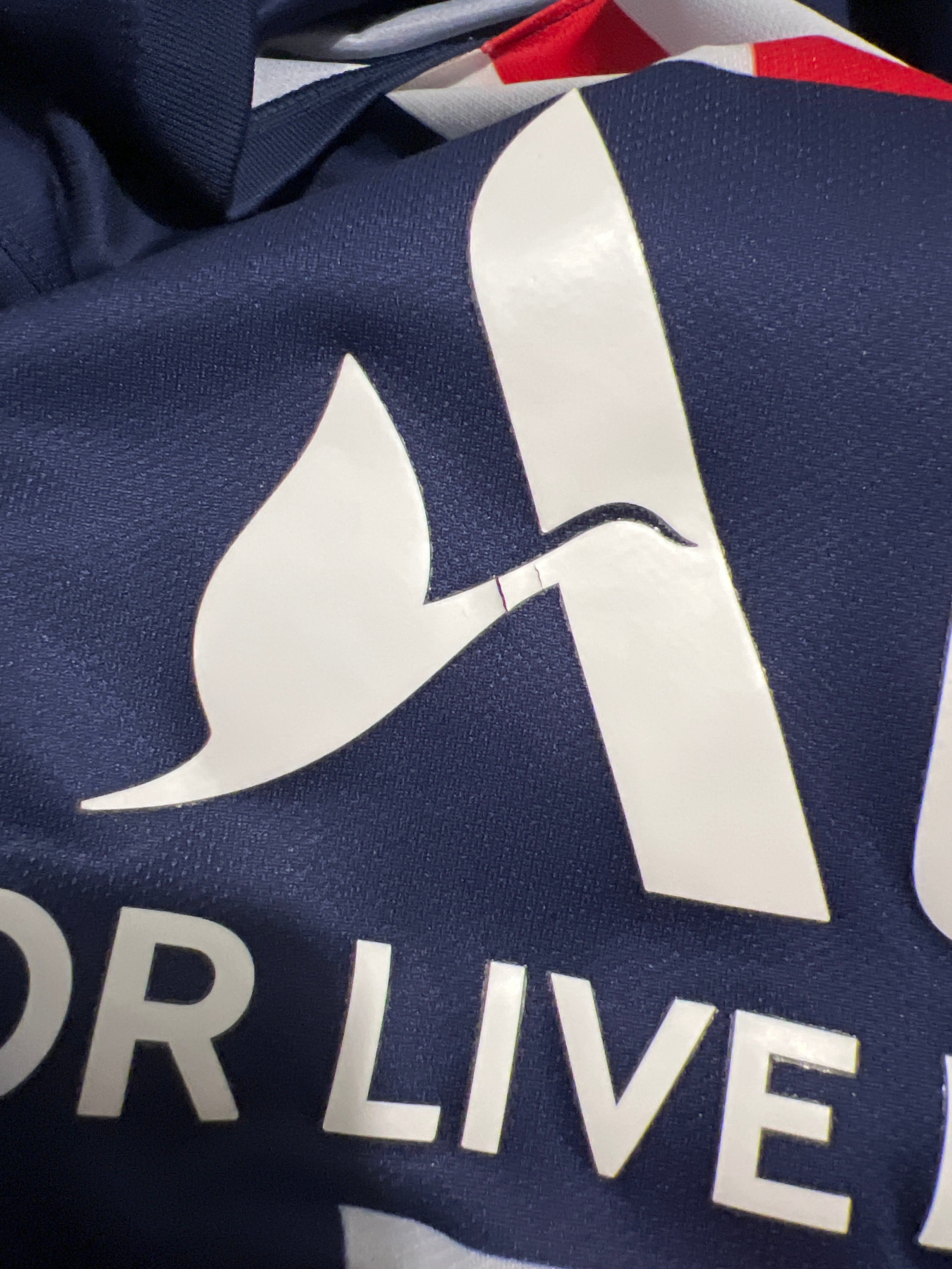 Nike - Paris Saint-Germain 2019/20 Home Football Shirt 'NEYMAR JR'