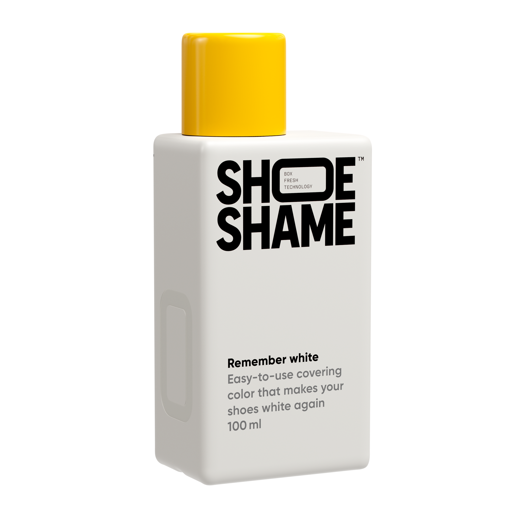 'Ultimate Sneaker Maintenance'