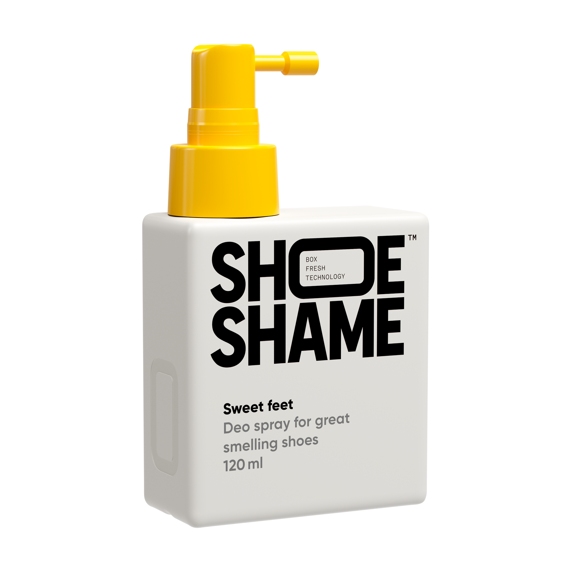 'Ultimate Sneaker Maintenance'