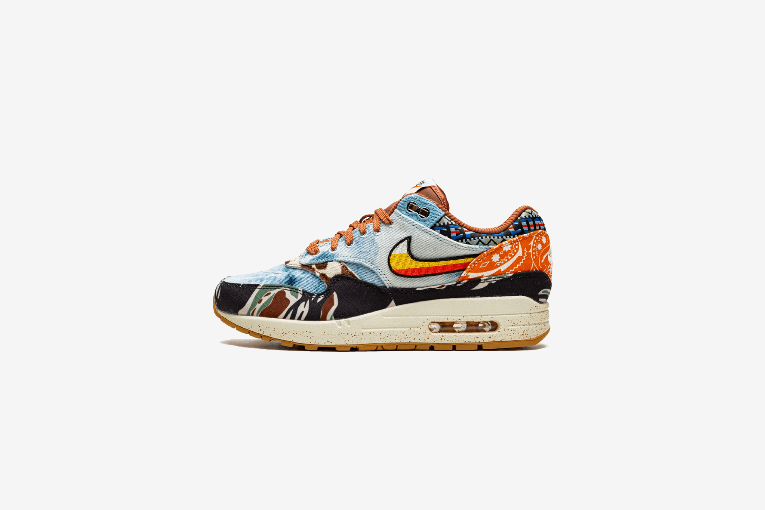 Nike Air Max 1 'SP Concepts Heavy'